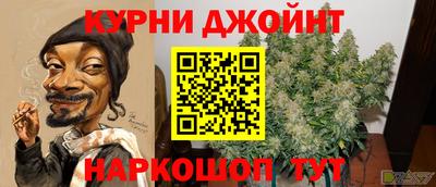 шишки Будённовск