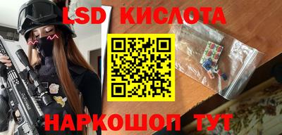 шишки Будённовск