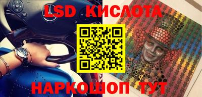 шишки Будённовск