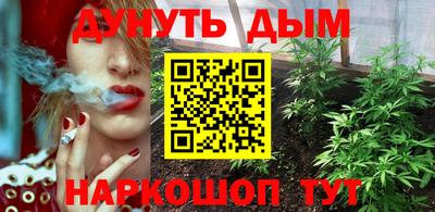 шишки Будённовск