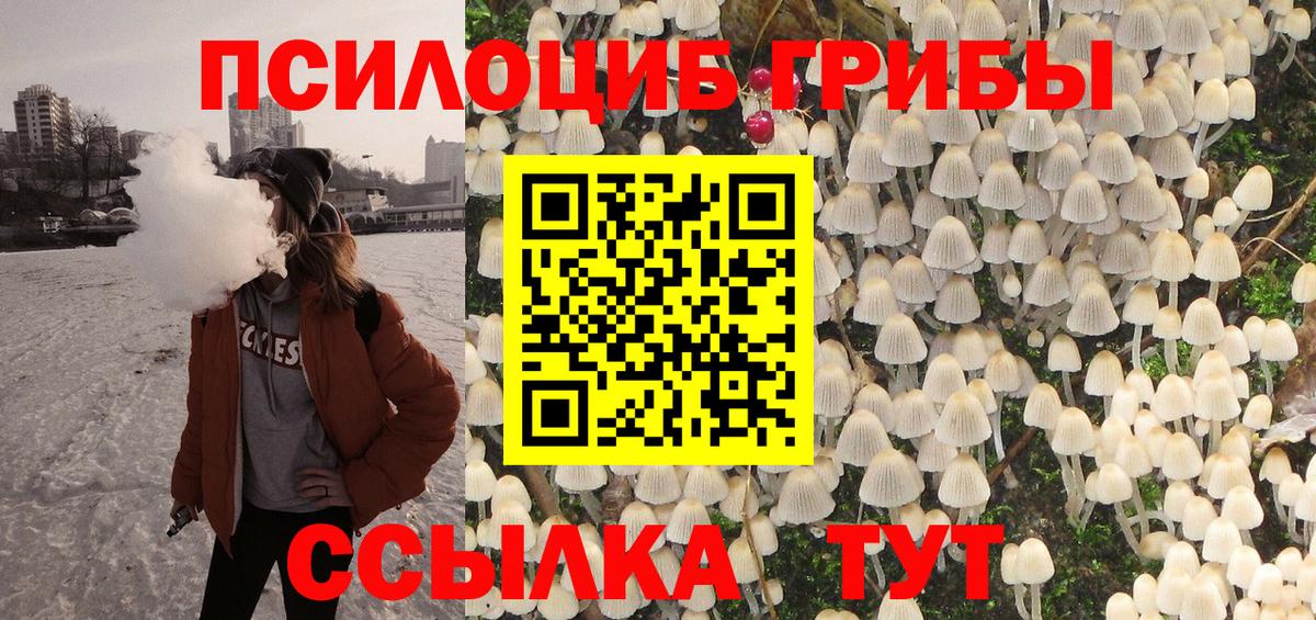 Псилоцибиновые грибы прущие грибы Тимашёвск